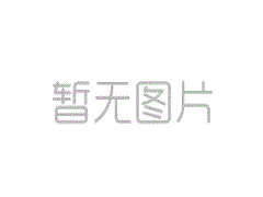 揚(yáng)子工業(yè)